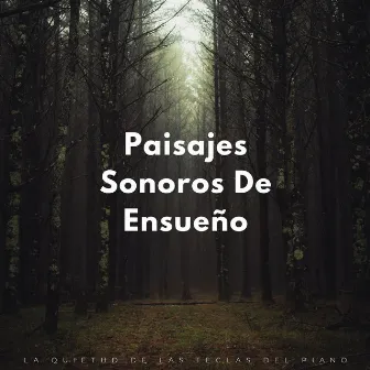 Paisajes Sonoros De Ensueño: La Quietud De Las Teclas Del Piano by Música jazz para dormir