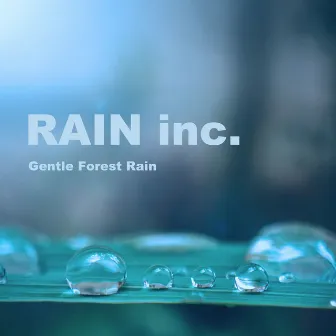 Gentle Forest Rain by Rain Inc