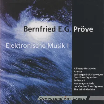 Bernfried Pröve: Elektronische Musik I by Bernfried Prove