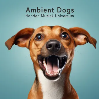 Ambient Dogs by Honden Muziek Universum