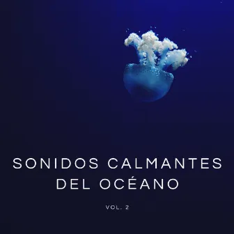 Sonidos Calmantes Del Océano Vol. 2 by Sonidos De Tormentas