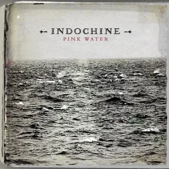 Pink Water (Radio Edit sans brian molko) by Indochine