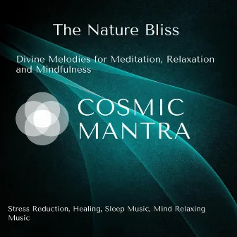 The Nature Bliss (Divine Melodies For Meditation, Relaxation And Mindfulness) (Stress Reduction, Healing, Sleep Music, Mind Relaxing Music) by Unknown Artist