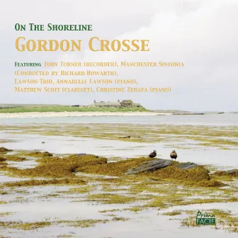 Crosse: On the Shoreline by Gordon Crosse