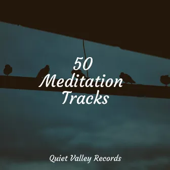 50 Meditation Tracks by Nature Sound Series