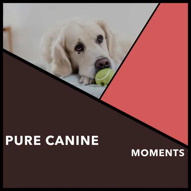 Pure Canine Moments