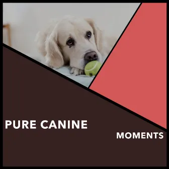 Pure Canine Moments by Zen Dog