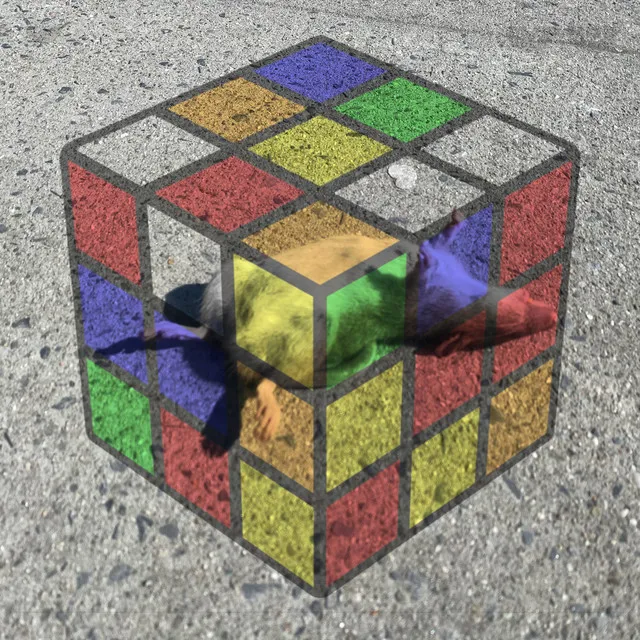 Rubix's Cube