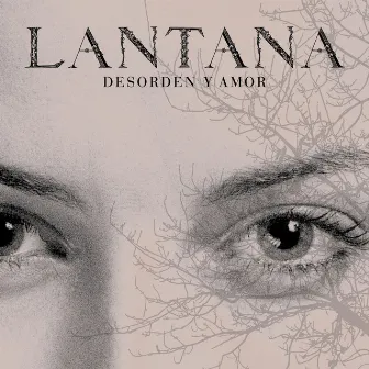 Desorden y Amor by Lantana