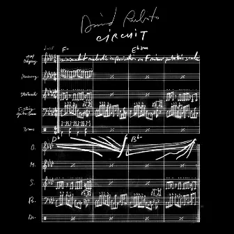 Circuit by David Rubato