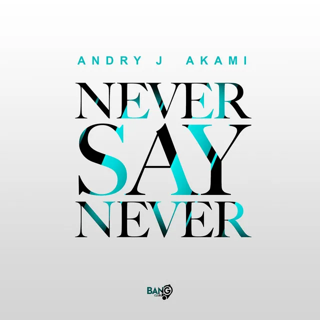 Never Say Never - Original Mix