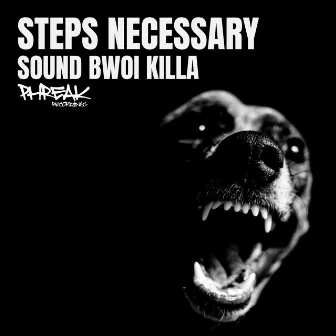 Sound Bwoi Killa by Steps Necessary