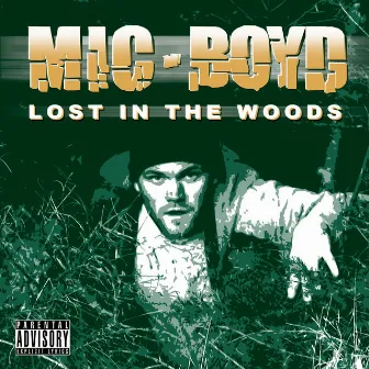 Lost In The Woods by Mic Boyd