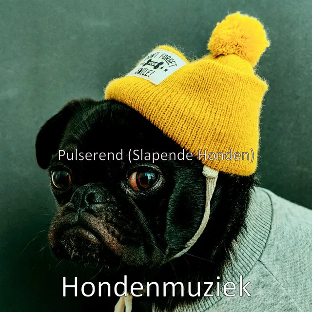 Zorgeloos (Slapende Honden)