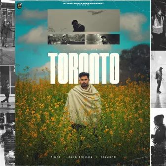 Toronto by Tiger