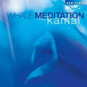 Whale Meditation by Kamal Engels