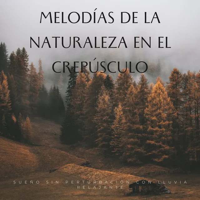 Melodías De La Naturaleza En El Crepúsculo: Sueño Sin Perturbación Con Lluvia Relajante