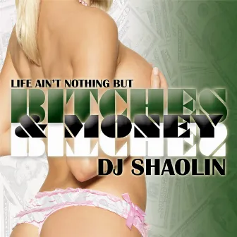 Bitches & Money by DJ Shaolin