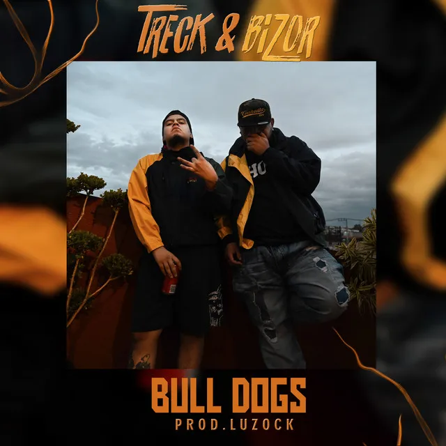 Bull Dogs