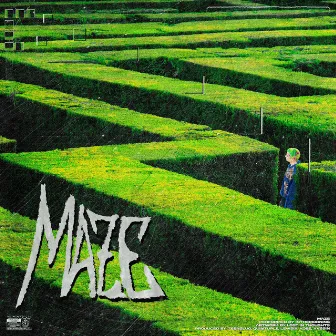 MAZE by Inthemorning