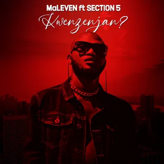 Kwenzenjani by Maleven