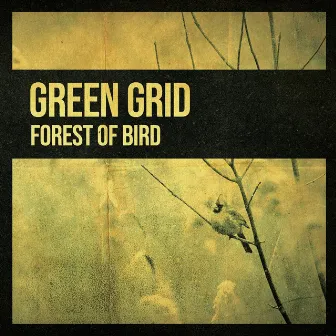 Forest of Bird by Green Grid