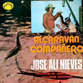 Alcaraván Compañero by Jose Ali Nieves