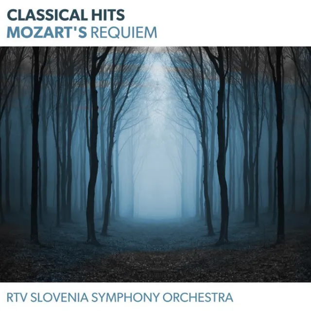 RTV Slovenia Symphony Orchestra