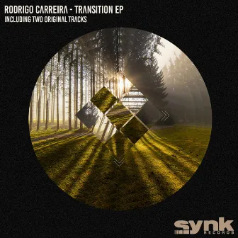 Transition by Rodrigo Carreira