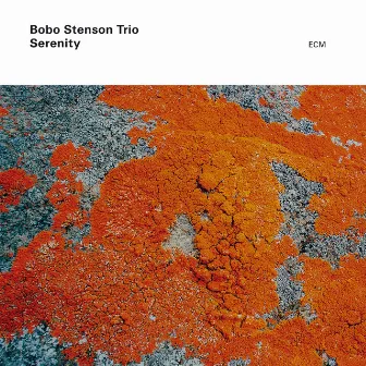 Serenity by Bobo Stenson Trio