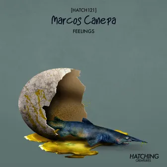 Feelings by Marcos Canepa