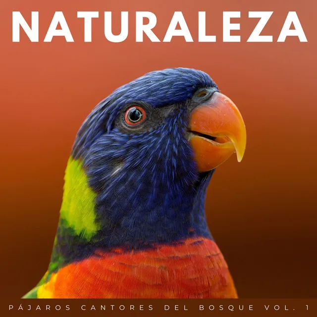 Naturaleza: Pájaros Cantores Del Bosque Vol. 1