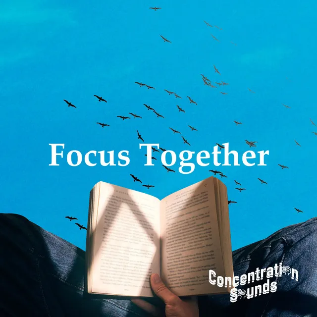 Focus Together