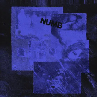 numb by obey