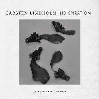 Indispiration by Carsten Lindholm