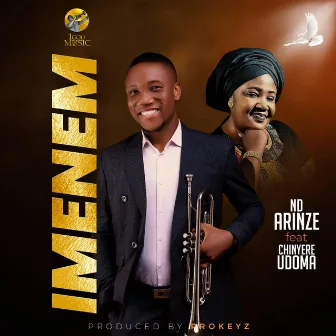 Imenwm remis by Chinyere Udoma