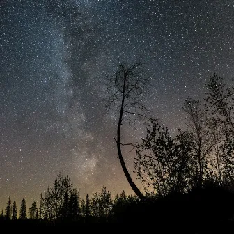 Minä laulan sun iltasi tähtihin by Frans Linnavuori