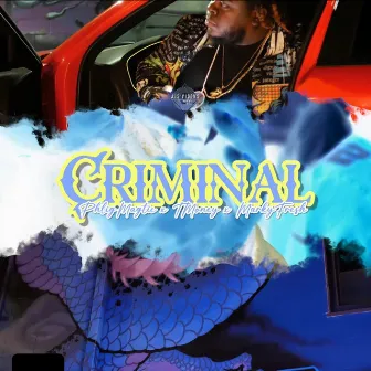 Criminal by Wayne2Wild