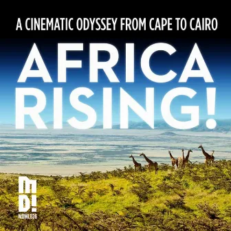 Africa Rising - a Cinematic Odyssey from Cape to Cairo by Ryan Grogan