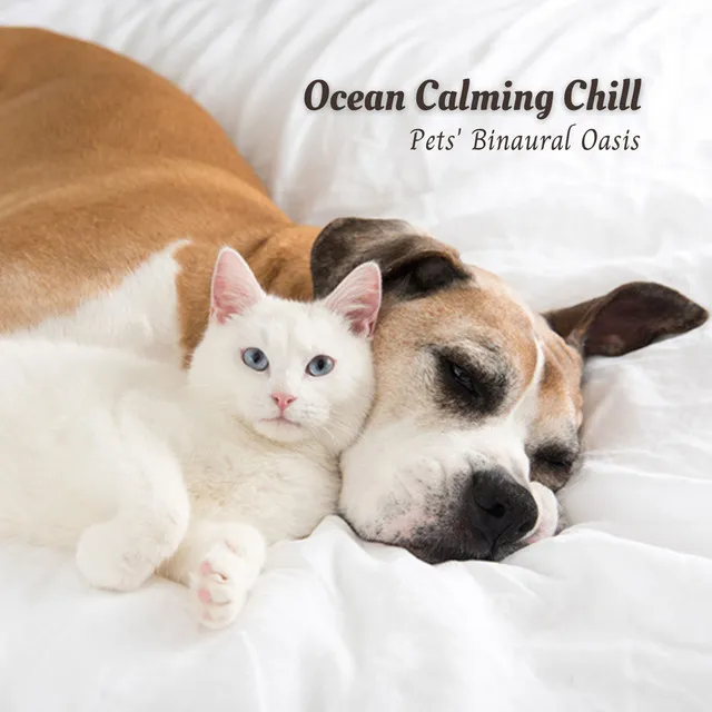 Ocean Calming Chill: Pets' Binaural Oasis