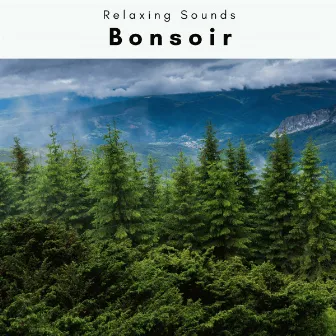 Bonsoir vol. 2 by Forest Noir