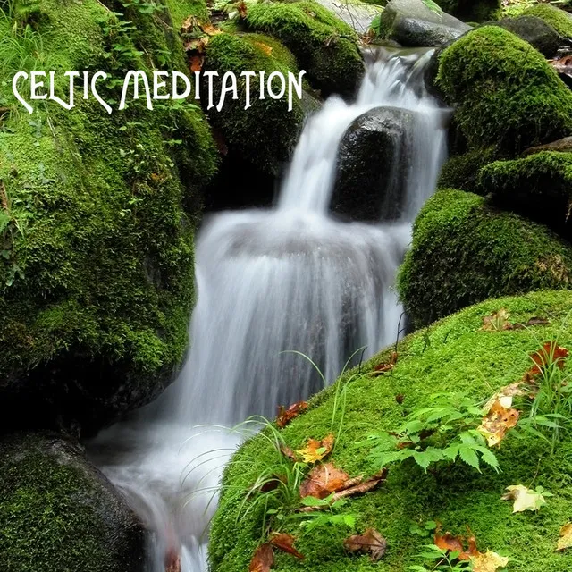 Celtic Meditation Music Specialists