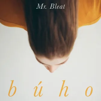 Búho by Mr. Bleat