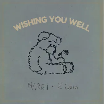 Wishing You Well by Z'cano