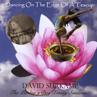 Dancing On The Edge Of A Teacup by David Surkamp