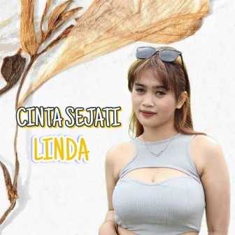 CINTA SEJATI FULLBASS by DJ Ary