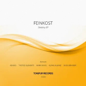 Destiny EP by Feinkost