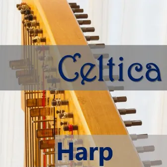 Celtica Harp by Jenny Masterson