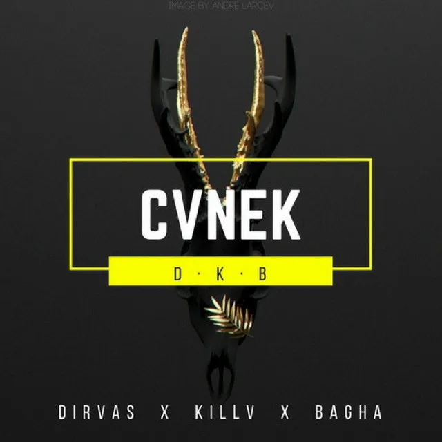 CVNEK