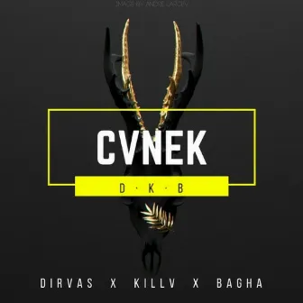 CVNEK by Bagha